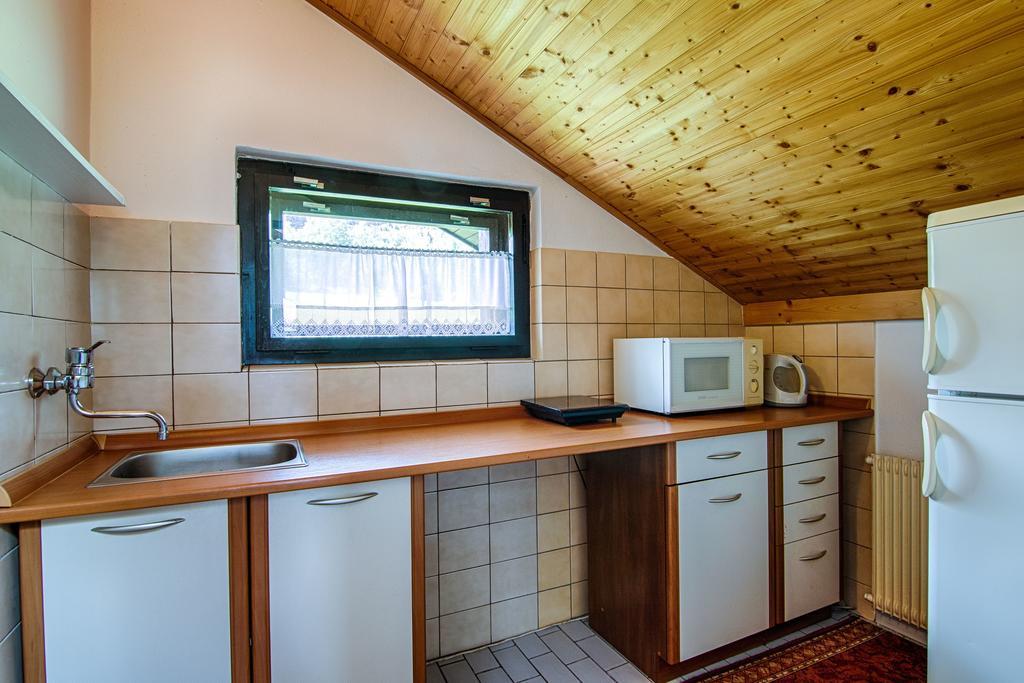 Hotel Penzion Daniela Paseky nad Jizerou Exteriér fotografie